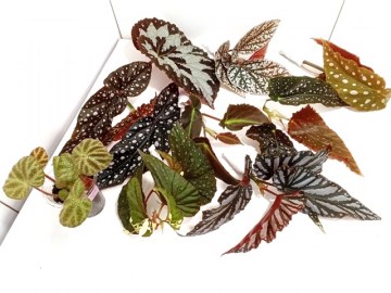 Заказ Тоньшина 06052022 2